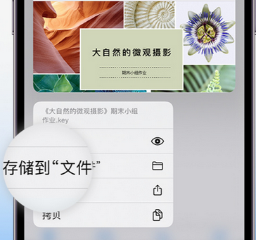 济宁apple维修中心分享iPhone文件应用中存储和找到下载文件