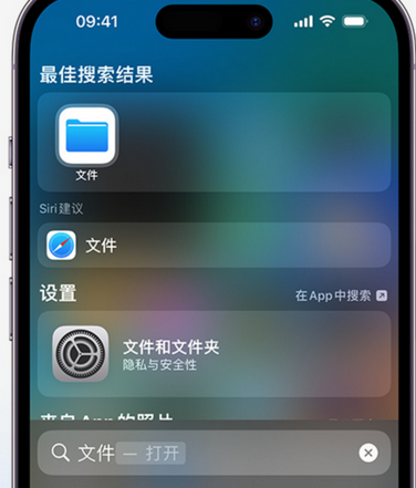 济宁apple维修中心分享iPhone文件应用中存储和找到下载文件