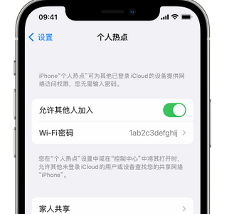 济宁apple服务站点分享iPhone上个人热点丢失了怎么办 