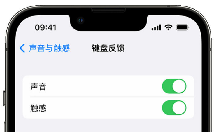 济宁苹果手机维修分享iPhone 14触感键盘使用方法 