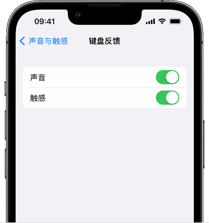 济宁苹果14维修店分享如何在 iPhone 14 机型中使用触感键盘 