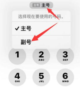 济宁苹果14维修店分享iPhone 14 Pro Max使用副卡打电话的方法 