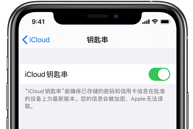 济宁苹果手机维修分享在 iPhone 上开启 iCloud 钥匙串之后会储存哪些信息 