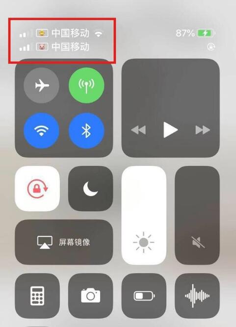 济宁苹果手机维修分享为 iPhone 12 双卡设置标签 